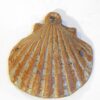 Coquille Saint Jacques marron