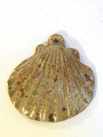 Coquille Saint Jacques verte