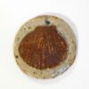Coquille Saint Jacques verte engobe dessus